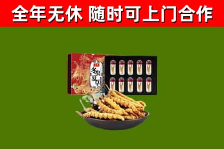 秭归回收冬虫夏草价格